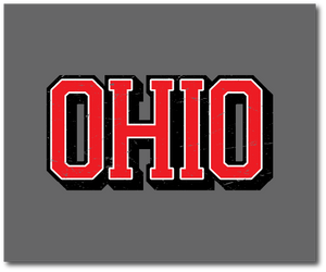 Block Ohio Throw Blanket - 50in×60in