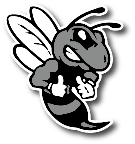 Hornets Blackout Decal