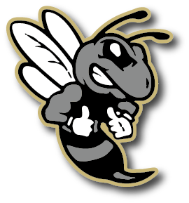 Hornets Blackout With Gold Outline Decal