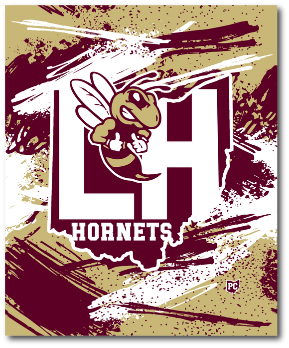 Hornets Grunge Ohio Throw Blanket - 50in×60in