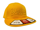 Warriors 3D Puff Script Richardson PTS20 Pulse FlexFit Hat